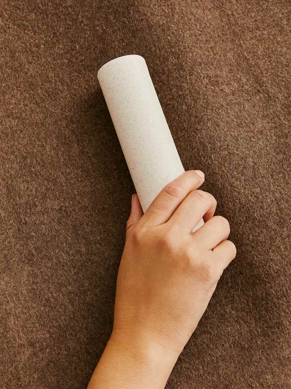 Reformation Steamery Lint Brush - Beige